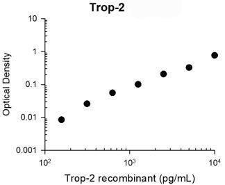 TROP2 Antibody in ELISA (ELISA)
