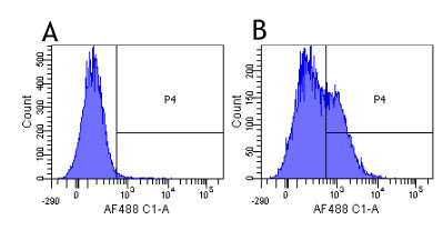 Daclizumab Chimeric Antibody in Flow Cytometry (Flow)