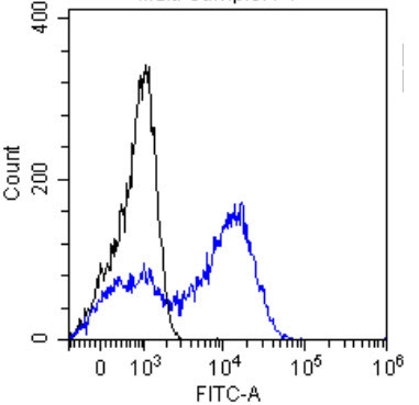 AFP Chimeric Antibody in Flow Cytometry (Flow)