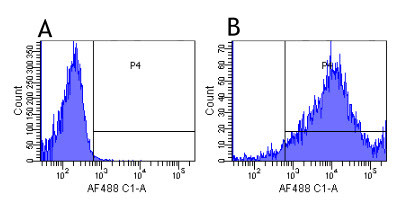 Abciximab Chimeric Antibody in Flow Cytometry (Flow)