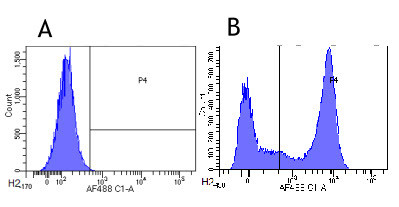 CD32 Chimeric Antibody in Flow Cytometry (Flow)