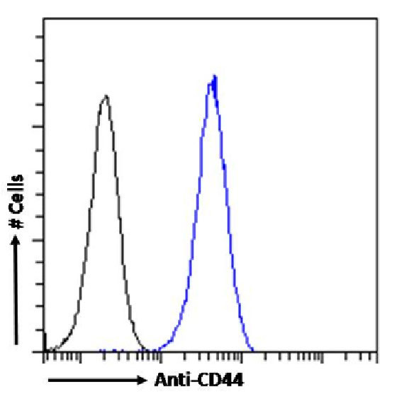 CD44 Antibody in Flow Cytometry (Flow)