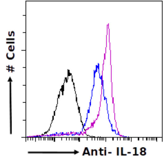 IL-18 Antibody in Flow Cytometry (Flow)