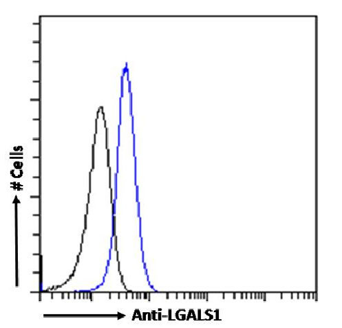 Galectin 1 Antibody in Flow Cytometry (Flow)