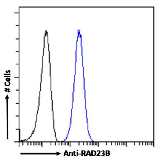 RAD23B Antibody in Flow Cytometry (Flow)