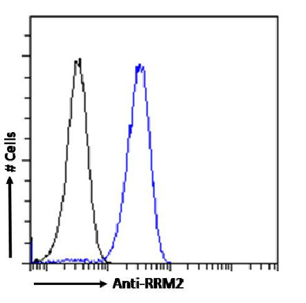 RRM2 Antibody in Flow Cytometry (Flow)