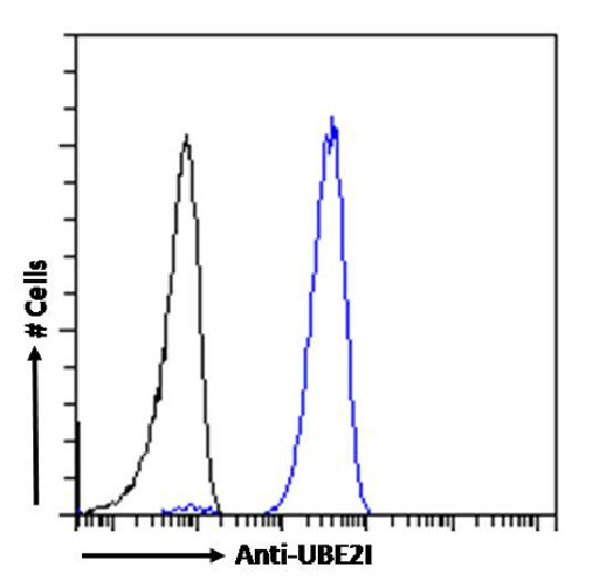 UBC9 Antibody in Flow Cytometry (Flow)