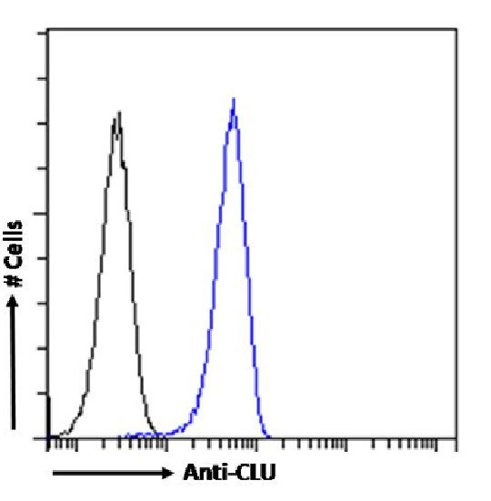 Apolipoprotein J Antibody in Flow Cytometry (Flow)