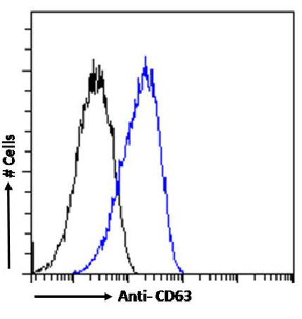 CD63 Chimeric Antibody in Flow Cytometry (Flow)