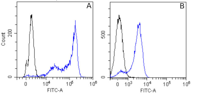 beta Tubulin Chimeric Antibody in Flow Cytometry (Flow)