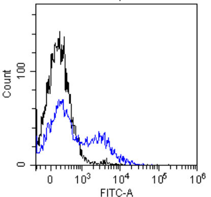 EGFR Chimeric Antibody in Flow Cytometry (Flow)