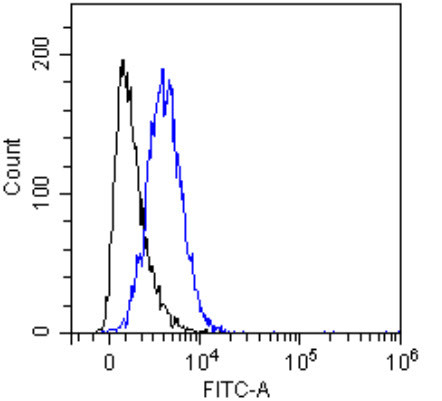 CD55 Chimeric Antibody in Flow Cytometry (Flow)