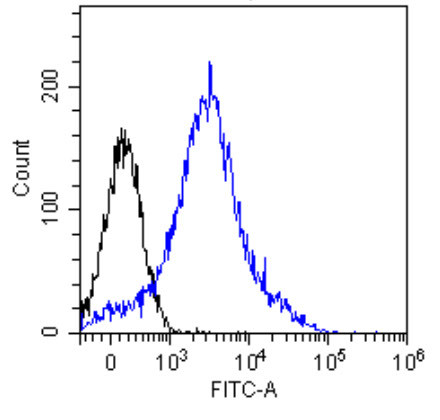 CD8b Chimeric Antibody in Flow Cytometry (Flow)