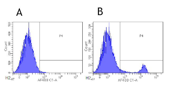 CD8b Chimeric Antibody in Flow Cytometry (Flow)