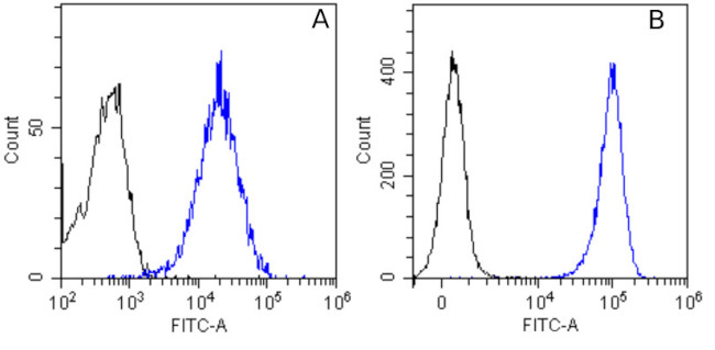 Matuzumab Chimeric Antibody in Flow Cytometry (Flow)