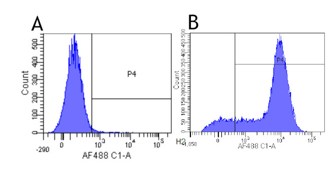 CD44 Chimeric Antibody in Flow Cytometry (Flow)