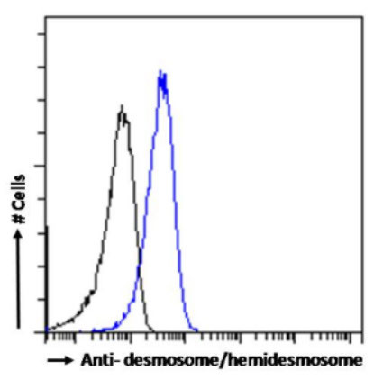 Desmosome/Hemidesmosome Chimeric Antibody in Flow Cytometry (Flow)