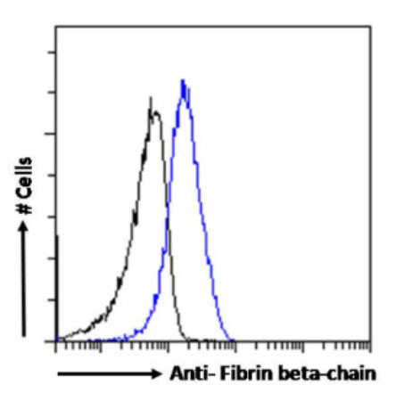 FIBB Chimeric Antibody in Flow Cytometry (Flow)