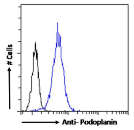 Podoplanin Chimeric Antibody in Flow Cytometry (Flow)