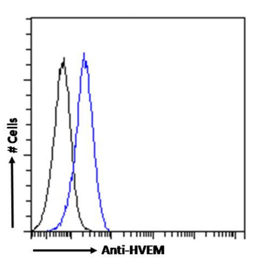 TNFRSF14 (HVEM) Chimeric Antibody in Flow Cytometry (Flow)