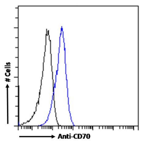 CD70 Chimeric Antibody in Flow Cytometry (Flow)