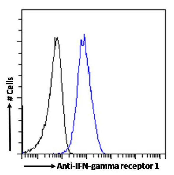 IFNGR1 (CD119) Chimeric Antibody in Flow Cytometry (Flow)