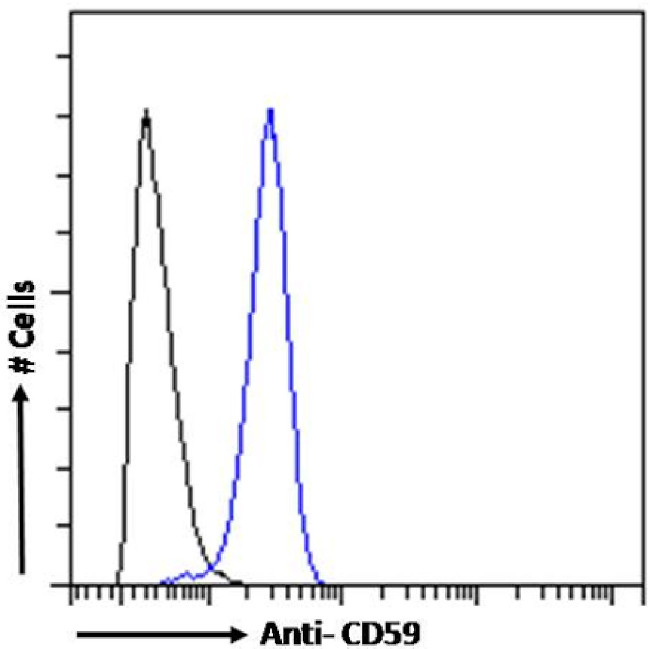 CD59 Chimeric Antibody in Flow Cytometry (Flow)