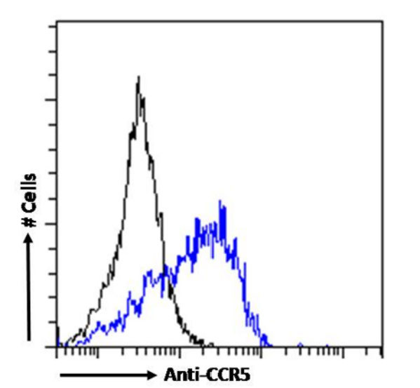CCR5 Chimeric Antibody in Flow Cytometry (Flow)