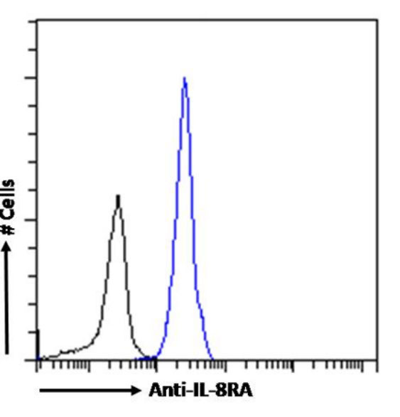 CXCR1 Chimeric Antibody in Flow Cytometry (Flow)