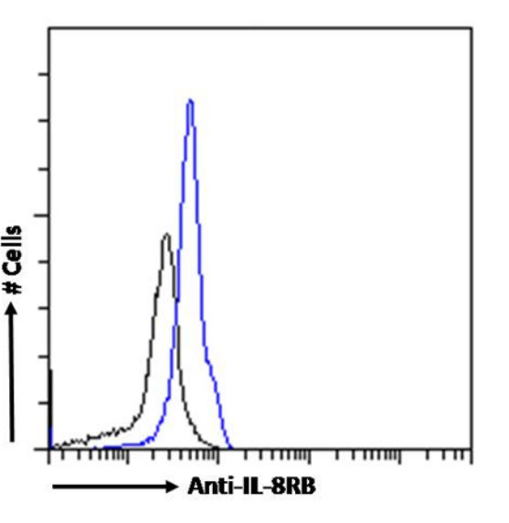 CXCR2 Chimeric Antibody in Flow Cytometry (Flow)