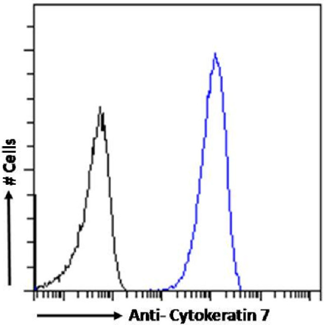 Cytokeratin 7 Chimeric Antibody in Flow Cytometry (Flow)