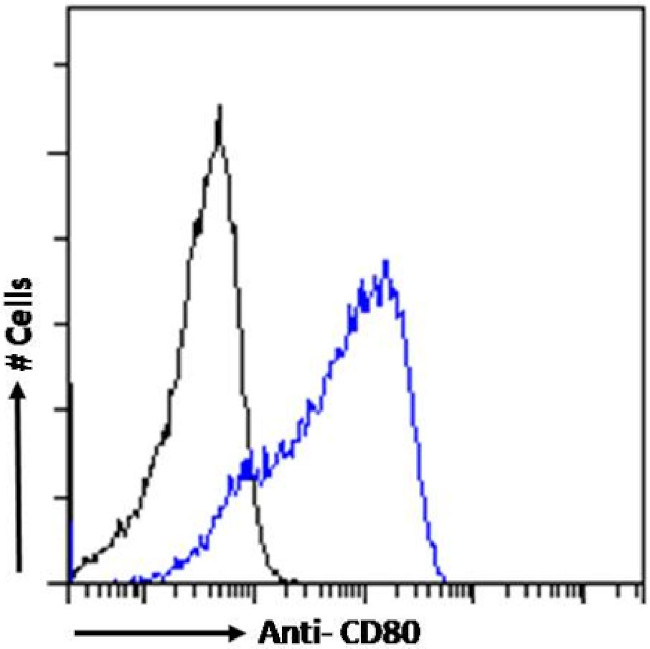 CD80 (B7-1) Chimeric Antibody in Flow Cytometry (Flow)