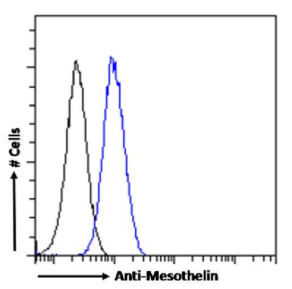 Mesothelin Chimeric Antibody in Flow Cytometry (Flow)