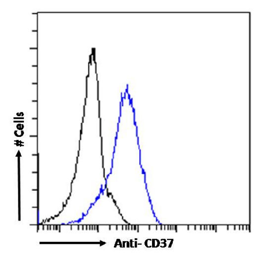 CD37 Chimeric Antibody in Flow Cytometry (Flow)