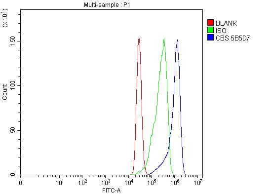 CBS Antibody in Flow Cytometry (Flow)