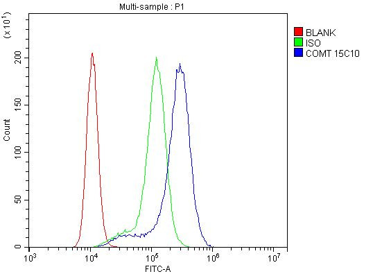 COMT Antibody in Flow Cytometry (Flow)