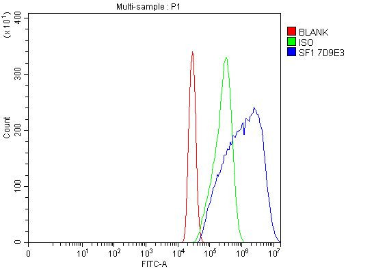 SF1 Antibody in Flow Cytometry (Flow)