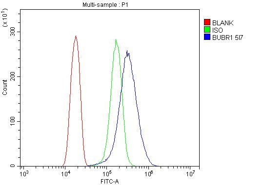 BUBR1 Antibody in Flow Cytometry (Flow)