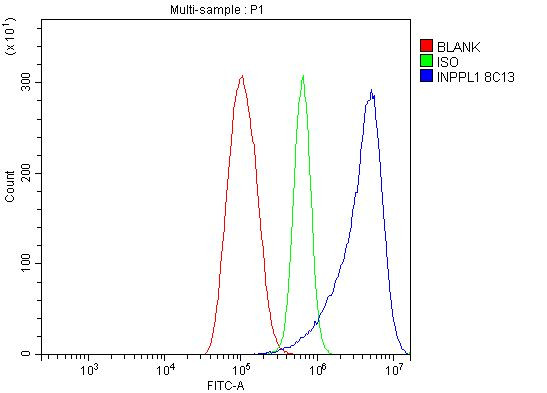 SHIP2 Antibody in Flow Cytometry (Flow)