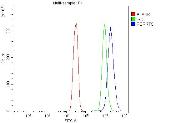 Cytochrome P450 Reductase Antibody in Flow Cytometry (Flow)