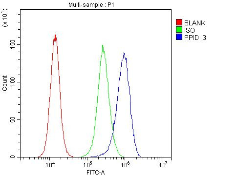 Cyclophilin 40 Antibody in Flow Cytometry (Flow)