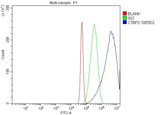 CtBP2 Antibody in Flow Cytometry (Flow)