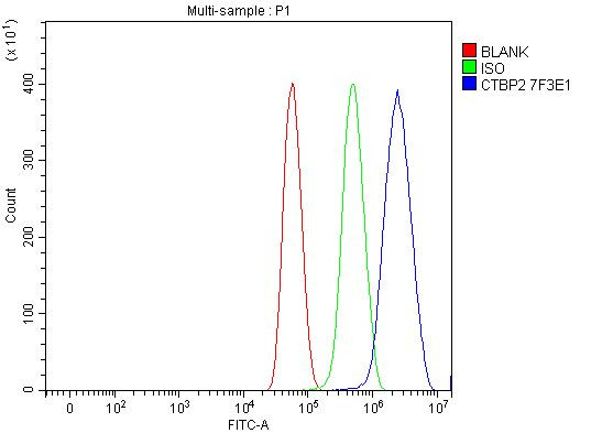 CtBP2 Antibody in Flow Cytometry (Flow)