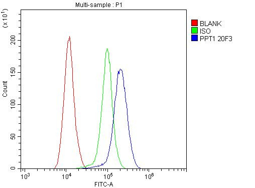 PPT1 Antibody in Flow Cytometry (Flow)