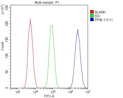 Cyclophilin B Antibody in Flow Cytometry (Flow)