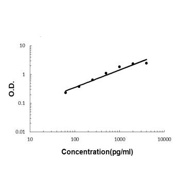 IL-32 Antibody in ELISA (ELISA)