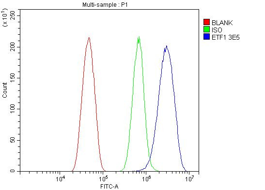 eRF1 Antibody in Flow Cytometry (Flow)