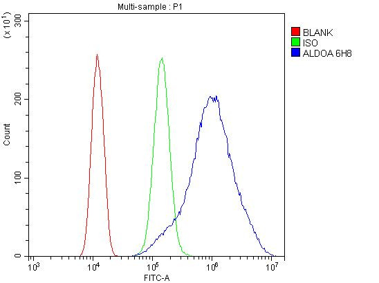 Aldolase A Antibody in Flow Cytometry (Flow)