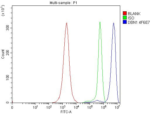 Drebrin Antibody in Flow Cytometry (Flow)