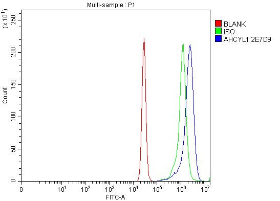 AdoHcyase 2 Antibody in Flow Cytometry (Flow)